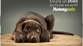 Jakadi qu’il fallait inscrire son minou sur Yummypets…