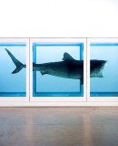 Damien Hirst, star des jeux olympiques ?