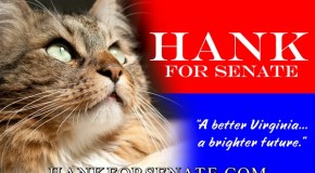 Votez Hank !