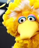 The mood, the Bird and the Romney