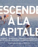 Marseille 2013, potentiel buzz ou flop avéré ?