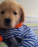 So cute and disabled