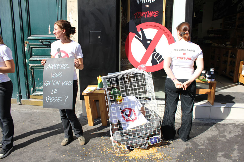 protestation contre les tests sur les animaux
