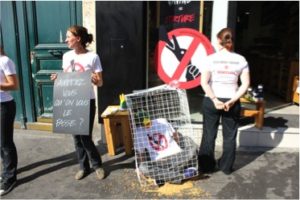 Manifestation contre les tests sur les animaux